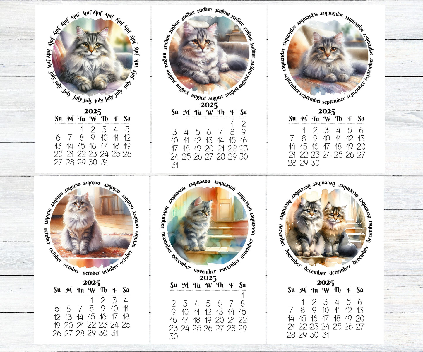 2026 Mini Long Haired Cat mini Calendar - Small Desk Calendar - Optional Wood Display stand - Desktop Calendar - Gift for cat lovers/moms - The Pawprint Paperie