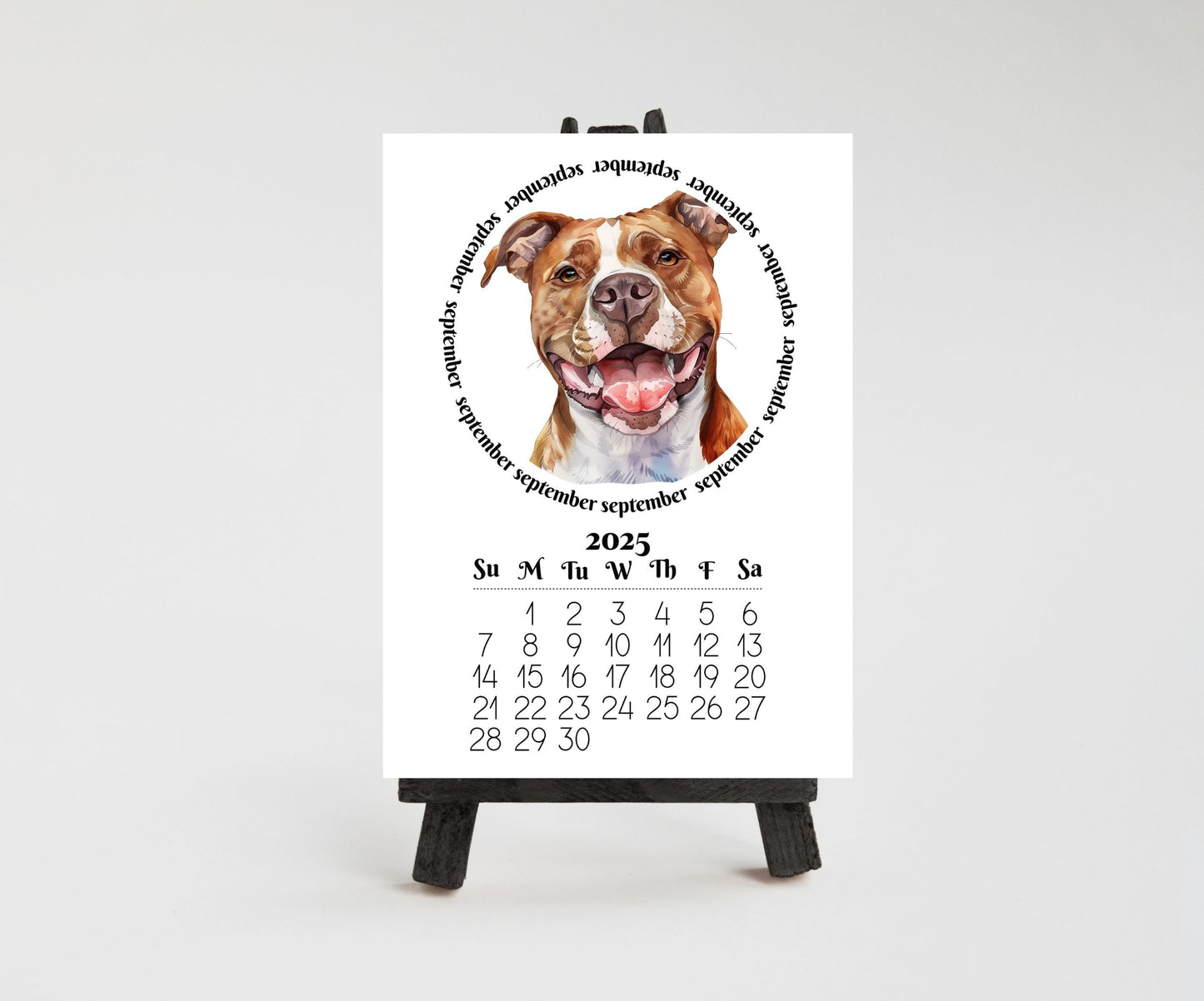 2026 Mini Desk Calendar Featuring Funny Pit Bull Terriers | Small Desk Calendar Optional Wood Display stand | Lamination Available | Pittie - The Pawprint Paperie