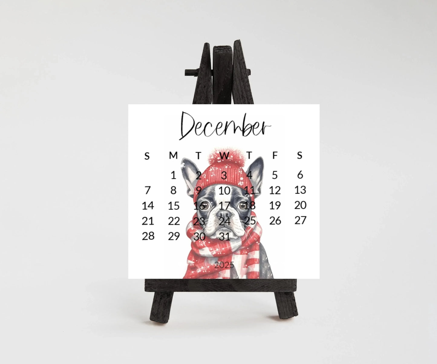 2025 Boston Terrier Mini Desk Calendar: Laminated Dog Mom Gift - The Pawprint Paperie