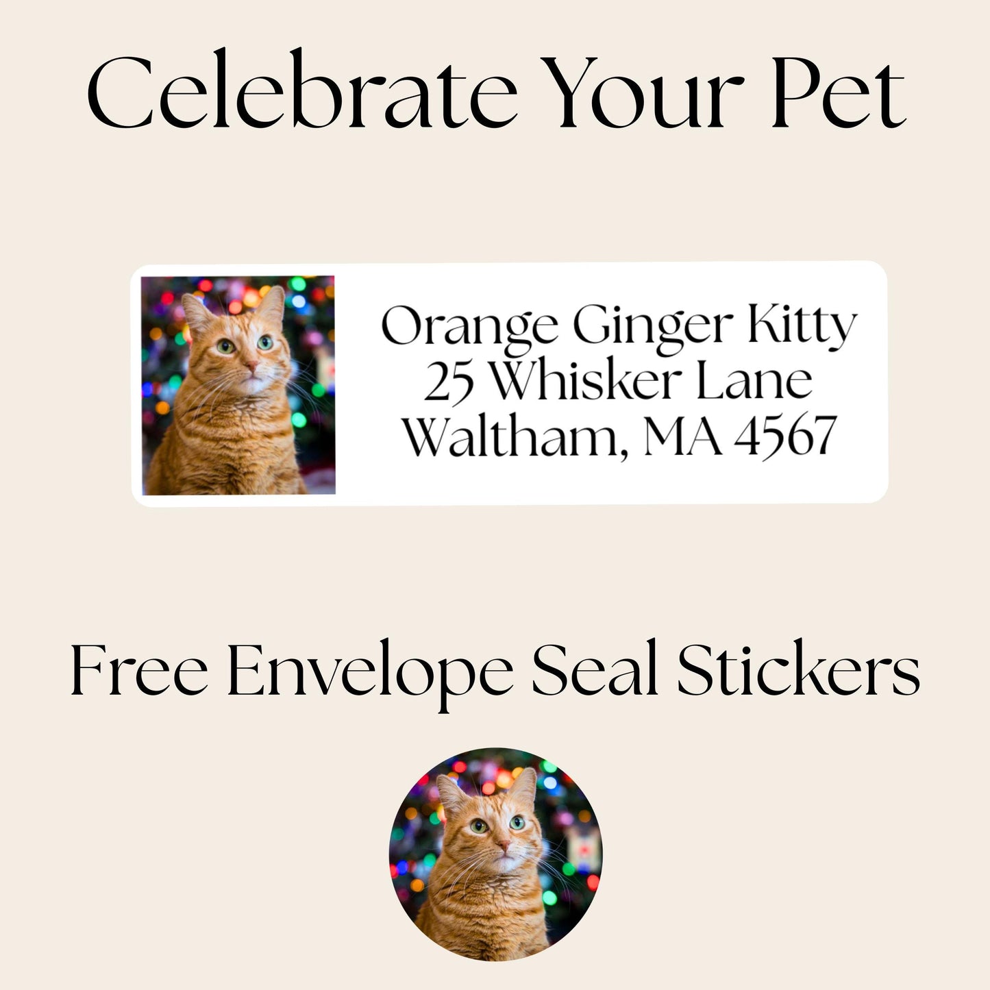 Custom Cat Photo Address Labels with FREE Stickers, Personalized Return Mailing Stickers Cat Moms, Printed Labels Gift, summer camp labels - The Pawprint Paperie