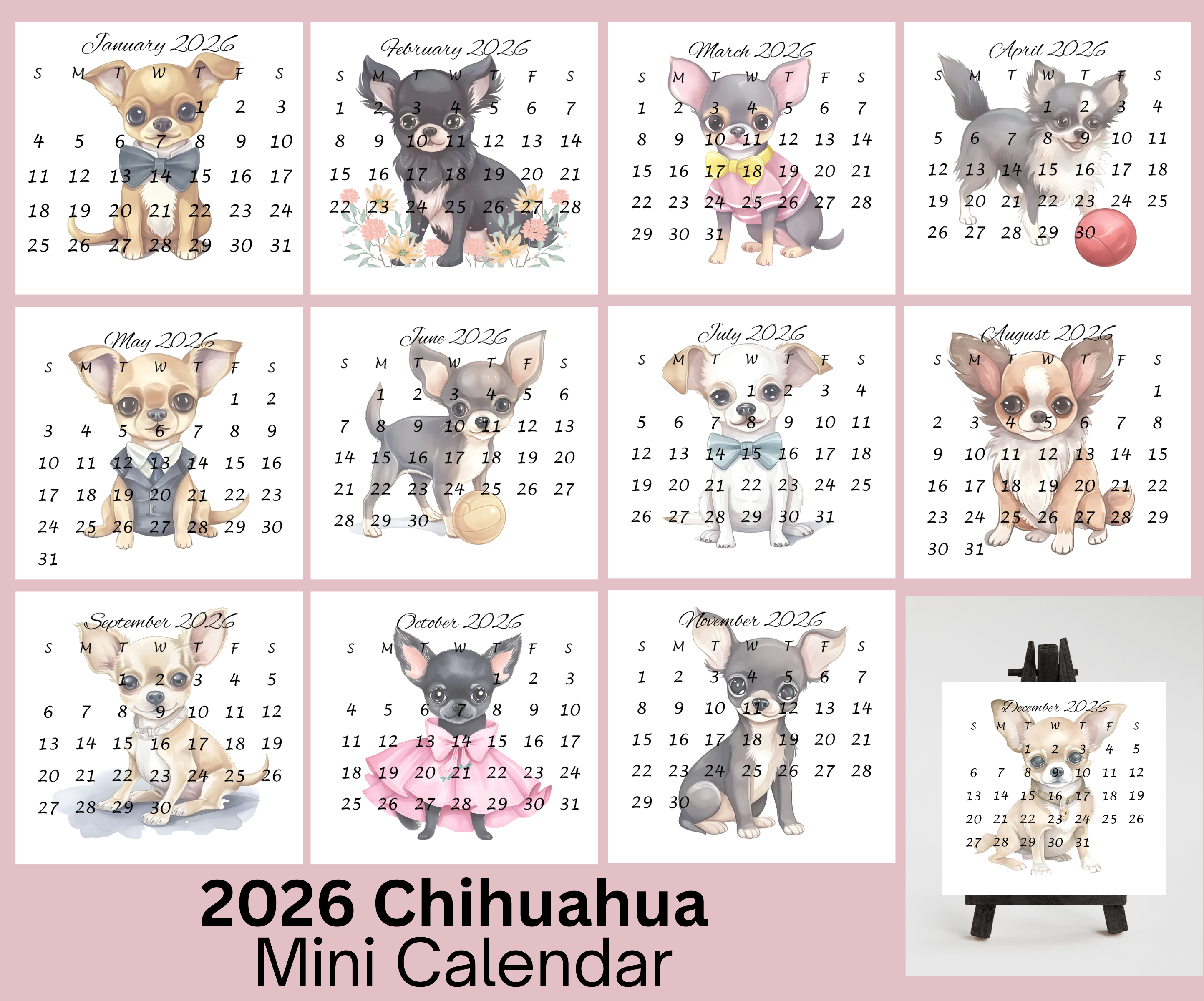 Chihuahua small desk calendar