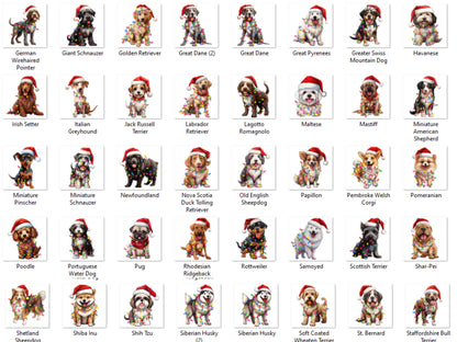Christmas Dog Address Labels – Pets in Santa Hats & Holiday Lights – FREE Santa Paws Envelope Seal Stickers - The Pawprint Paperie