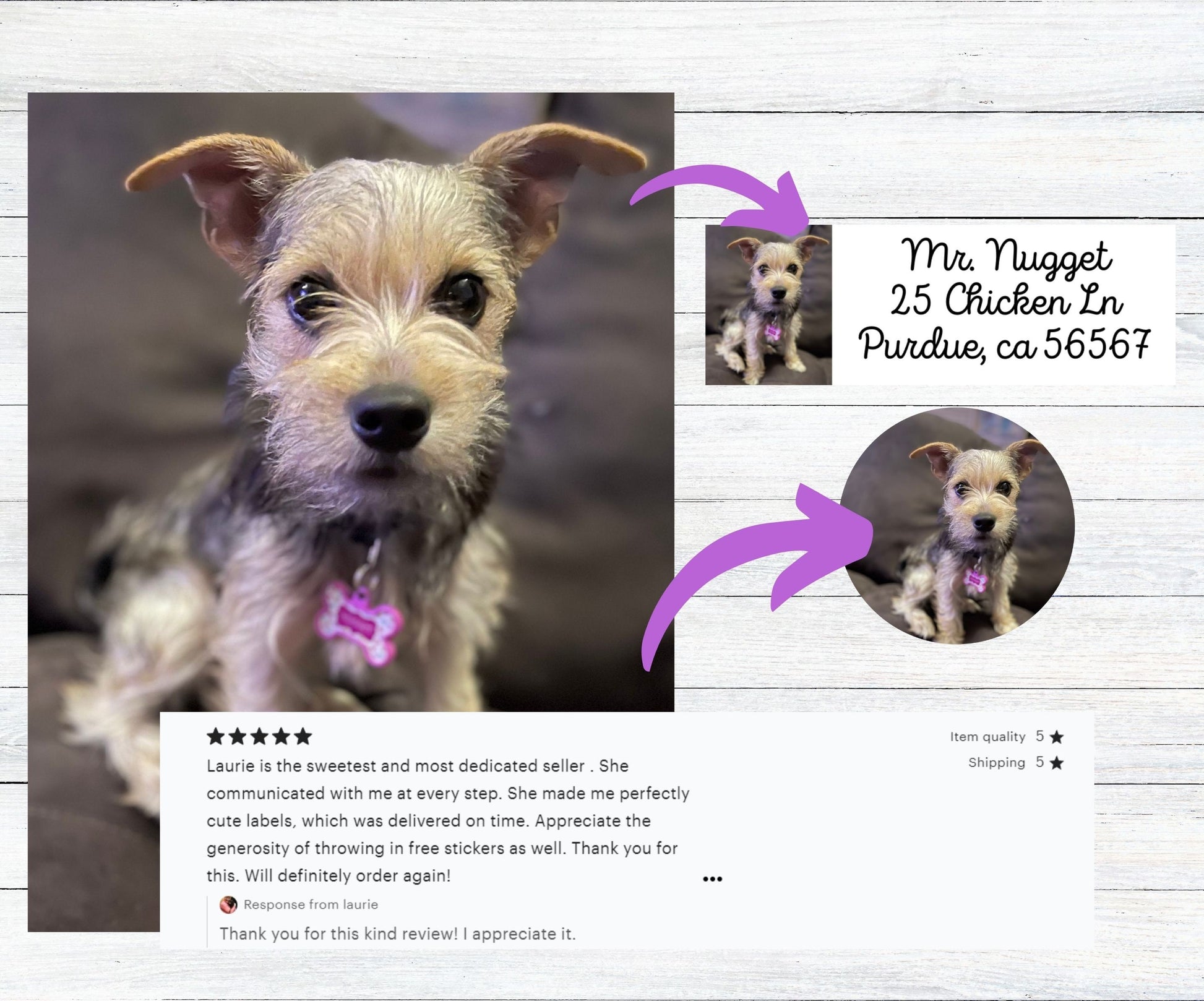 Pet Photo Address Labels, FREE Personalized Dog Sticker Sheet Set, Kids Custom Summer Camp Name, Unique dog mom gift, Happy Return Mail - The Pawprint Paperie