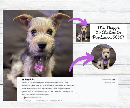 Pet Photo Address Labels, FREE Personalized Dog Sticker Sheet Set, Kids Custom Summer Camp Name, Unique dog mom gift, Happy Return Mail - The Pawprint Paperie