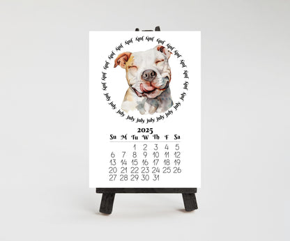 2026 Mini Desk Calendar Featuring Funny Pit Bull Terriers | Small Desk Calendar Optional Wood Display stand | Lamination Available | Pittie - The Pawprint Paperie