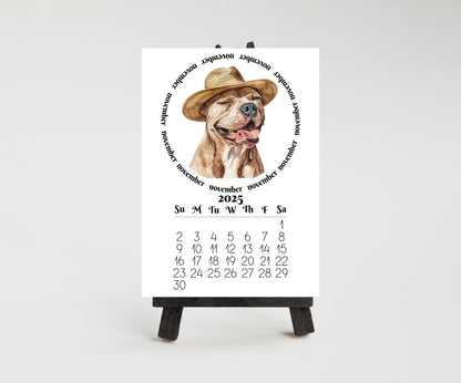 2026 Mini Desk Calendar Featuring Funny Pit Bull Terriers | Small Desk Calendar Optional Wood Display stand | Lamination Available | Pittie - The Pawprint Paperie