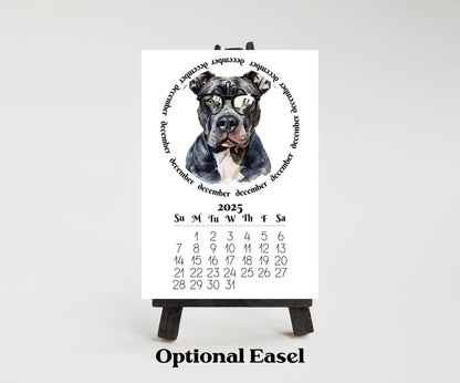 2026 Mini Desk Calendar Featuring Funny Pit Bull Terriers | Small Desk Calendar Optional Wood Display stand | Lamination Available | Pittie - The Pawprint Paperie