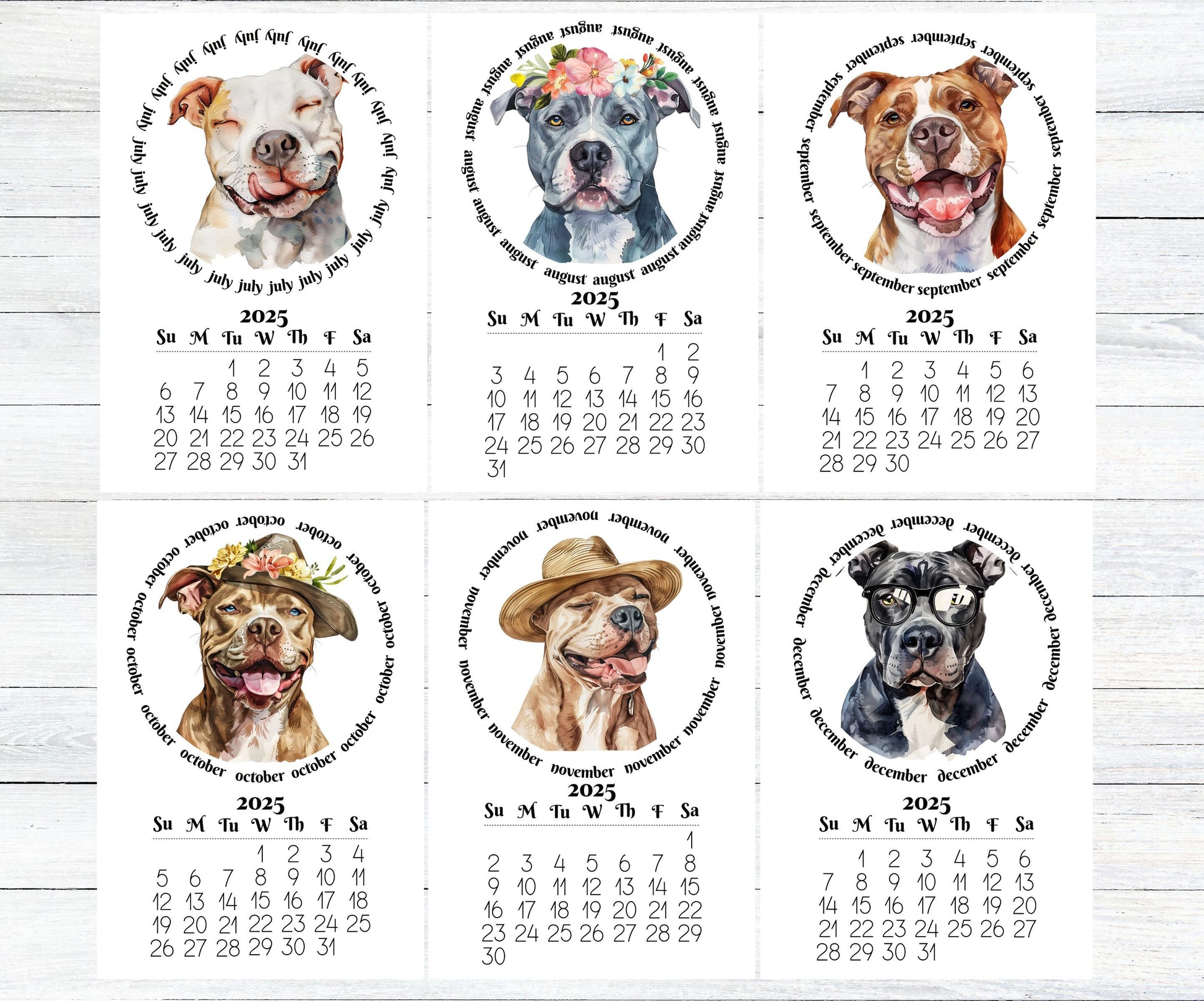 2026 Mini Desk Calendar Featuring Funny Pit Bull Terriers | Small Desk Calendar Optional Wood Display stand | Lamination Available | Pittie - The Pawprint Paperie