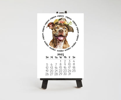 2026 Mini Desk Calendar Featuring Funny Pit Bull Terriers | Small Desk Calendar Optional Wood Display stand | Lamination Available | Pittie - The Pawprint Paperie