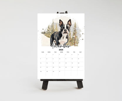 2026 Boston Terrier Desktop Calendar for small office desk space, Optional wood display stand easel. Great gift for Boston Terrier lovers - The Pawprint Paperie