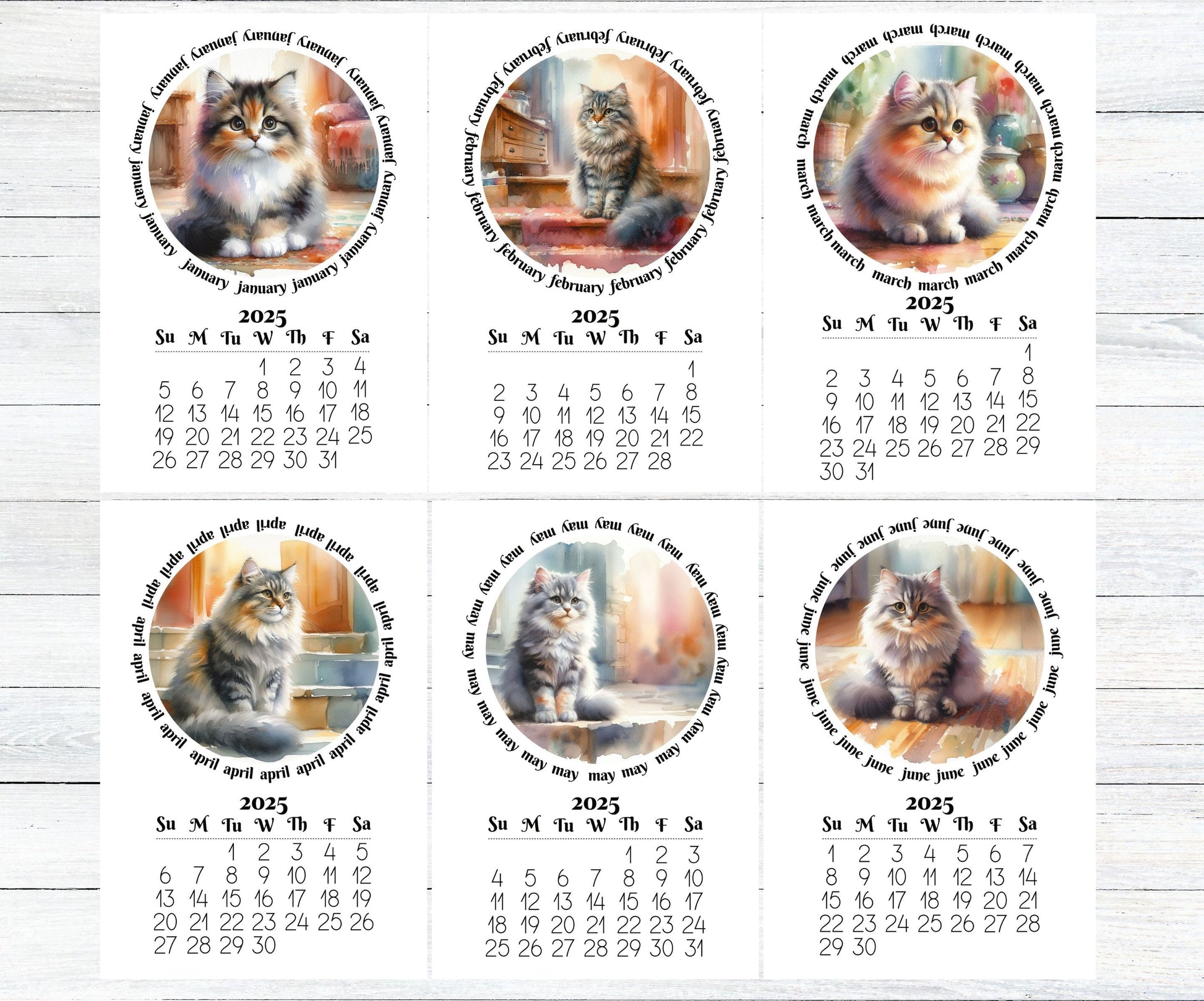 2026 Mini Long Haired Cat mini Calendar - Small Desk Calendar - Optional Wood Display stand - Desktop Calendar - Gift for cat lovers/moms - The Pawprint Paperie