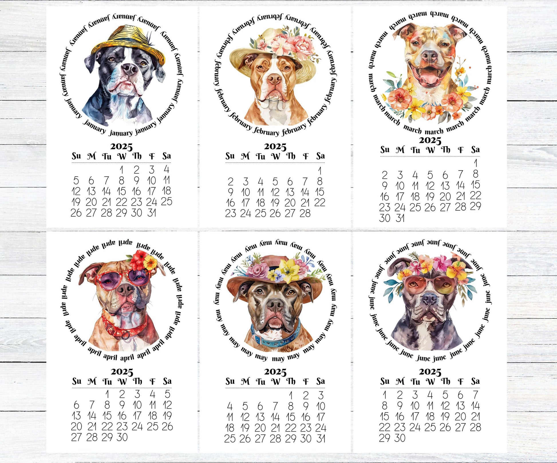 2026 Mini Desk Calendar Featuring Funny Pit Bull Terriers | Small Desk Calendar Optional Wood Display stand | Lamination Available | Pittie - The Pawprint Paperie