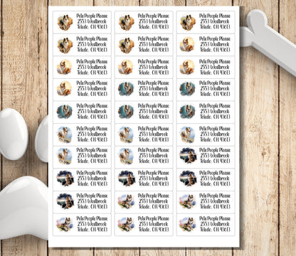 Return Address Label Stickers Sheltie | Peel and Stick Mailing Address Labels | Shetland Sheepdog envelope seal stickers - Dog Lover Gift - The Pawprint Paperie