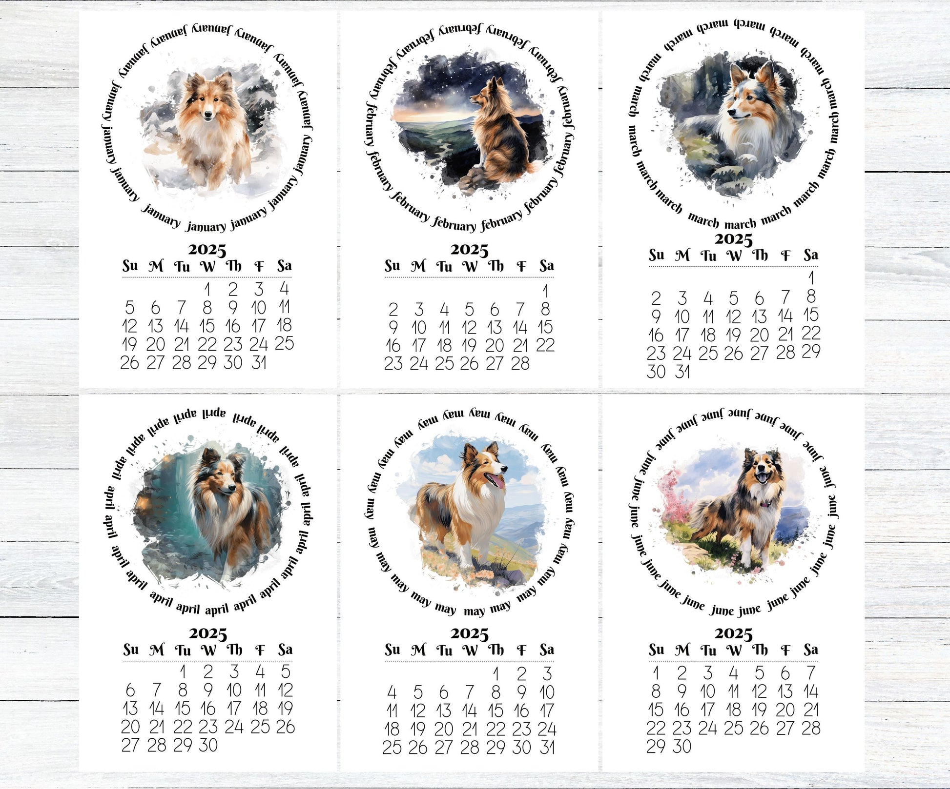 Small Desk Calendar for 2026 Sheltie - Desktop version optional wood mini easel display stand - Lamination available - Dog lovers Gift - The Pawprint Paperie