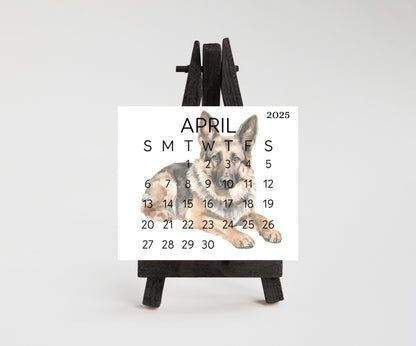 2026 Small Desk German Shephard Calendar, Optional wood display stand, police dog calendar, small office decor, gift for the Shepherd lover - The Pawprint Paperie