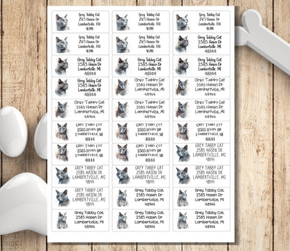 Grey Tabby Cat Return Address Labels – Custom Mailing Stickers with FREE Matching Envelope Seals – Cat Lover Gift, Cat Mom Stationery - The Pawprint Paperie