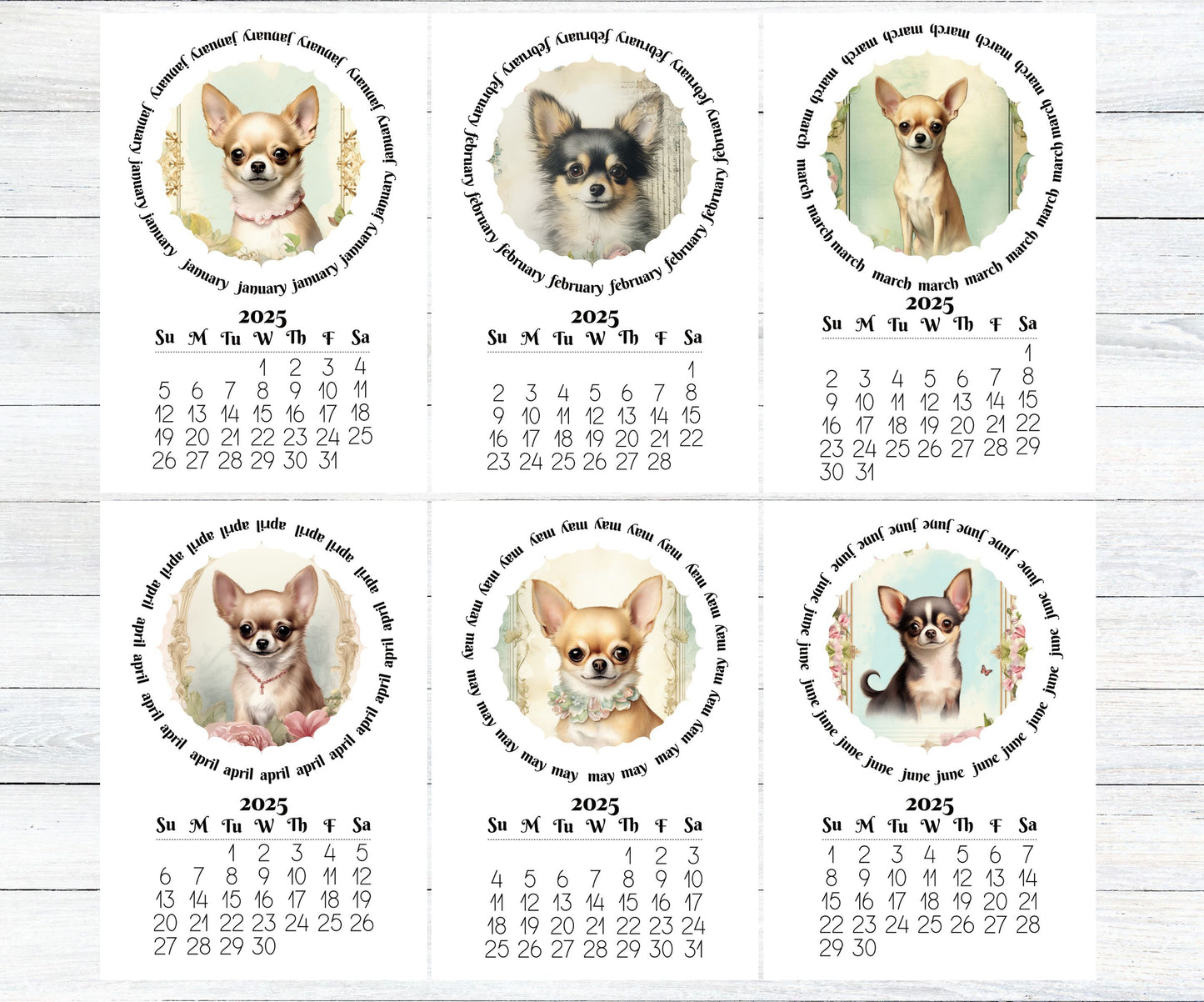 Cute Chihuahua 2026 Small Desk Calendar, Wood Stand Available, Laminated Monthly Calendar - The Pawprint Paperie