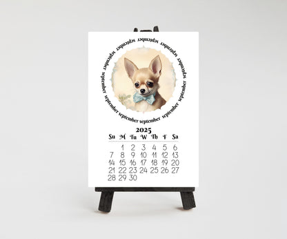 Cute Chihuahua 2026 Small Desk Calendar, Wood Stand Available, Laminated Monthly Calendar - The Pawprint Paperie
