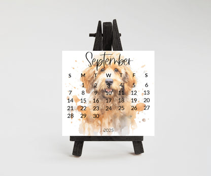 2026 Doodle Dog Mini Desk Calendar: Cockapoo, Labradoodle Optional Easel Stand - The Pawprint Paperie