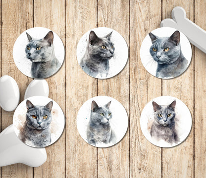 Grey Tabby Cat Return Address Labels – Custom Mailing Stickers with FREE Matching Envelope Seals – Cat Lover Gift, Cat Mom Stationery - The Pawprint Paperie