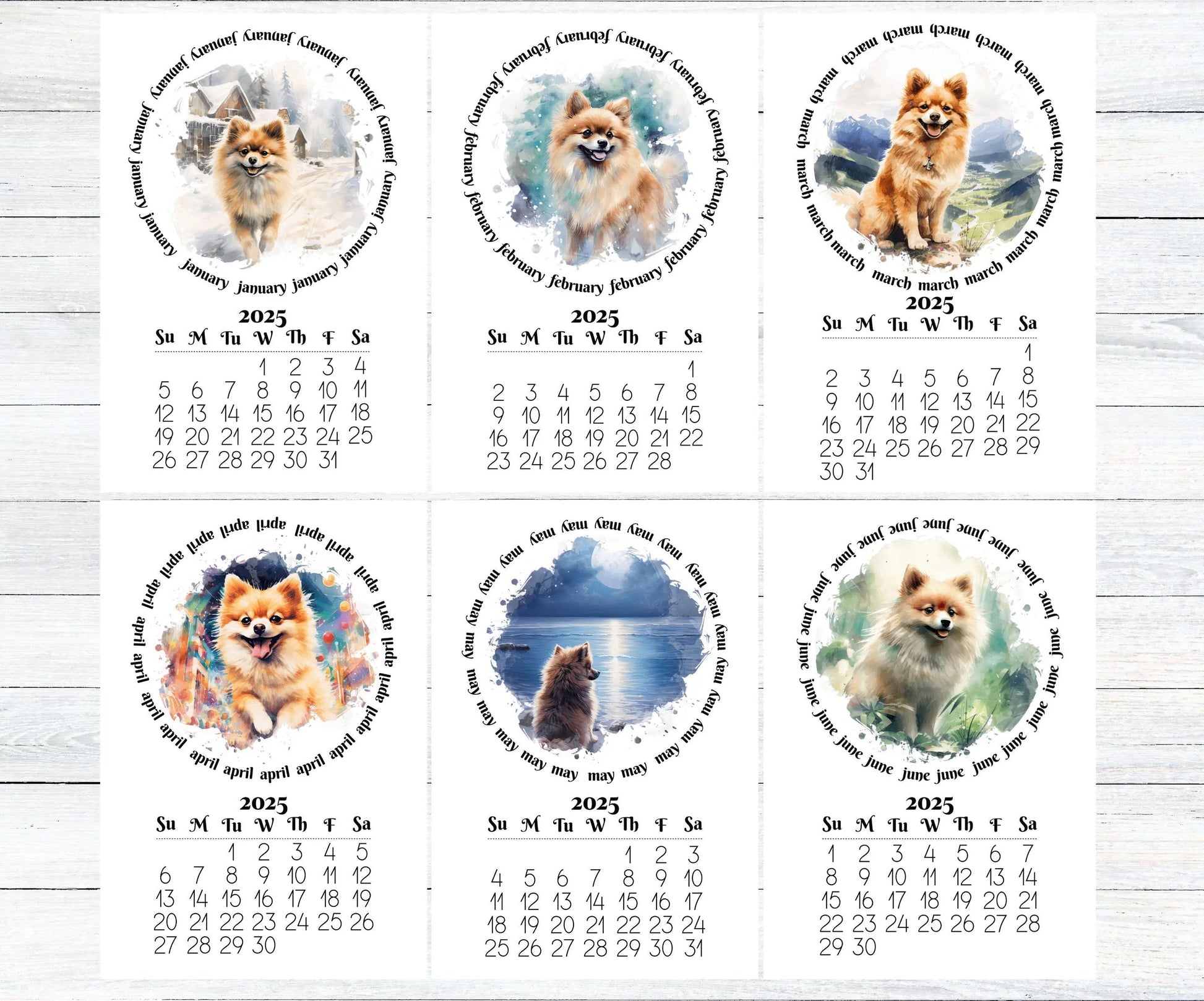 2026 Fawn Pomeranian Mini Calendar with Optional Wood display stand, Laminated, Mini Easel, Monthly, Small Desk space, Gift for dog mom/dad - The Pawprint Paperie