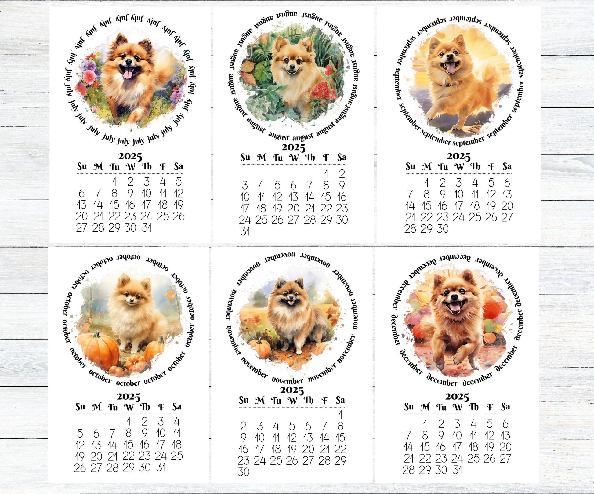 2026 Fawn Pomeranian Mini Calendar with Optional Wood display stand, Laminated, Mini Easel, Monthly, Small Desk space, Gift for dog mom/dad - The Pawprint Paperie