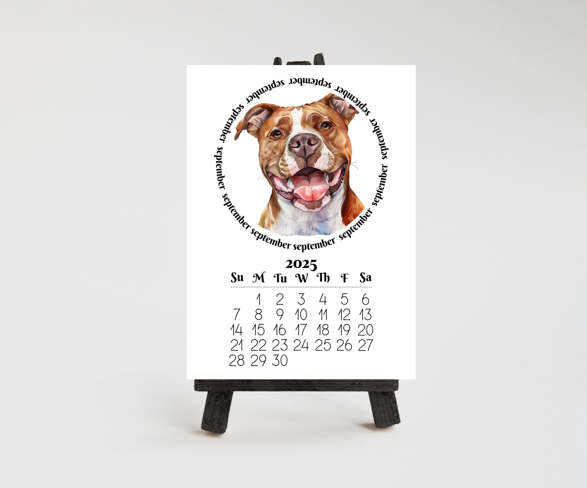 2026 Mini Desk Calendar Featuring Funny Pit Bull Terriers | Small Desk Calendar Optional Wood Display stand | Lamination Available | Pittie - The Pawprint Paperie