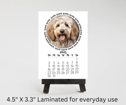 2026 mini monthly calendar optional wood stand, doodles. Small office desktop calendar. Stand up calendar. Dog mom or dad gift. Dog lovers - The Pawprint Paperie