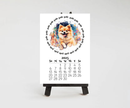 2026 Fawn Pomeranian Mini Calendar with Optional Wood display stand, Laminated, Mini Easel, Monthly, Small Desk space, Gift for dog mom/dad - The Pawprint Paperie