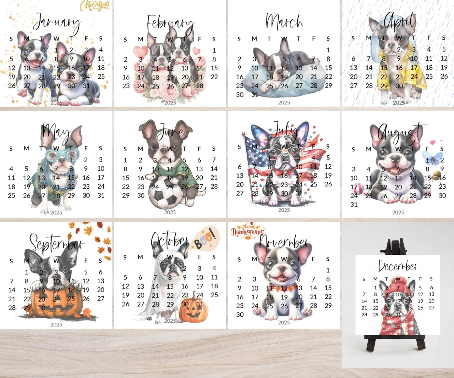 2025 Boston Terrier Mini Desk Calendar: Laminated Dog Mom Gift - The Pawprint Paperie