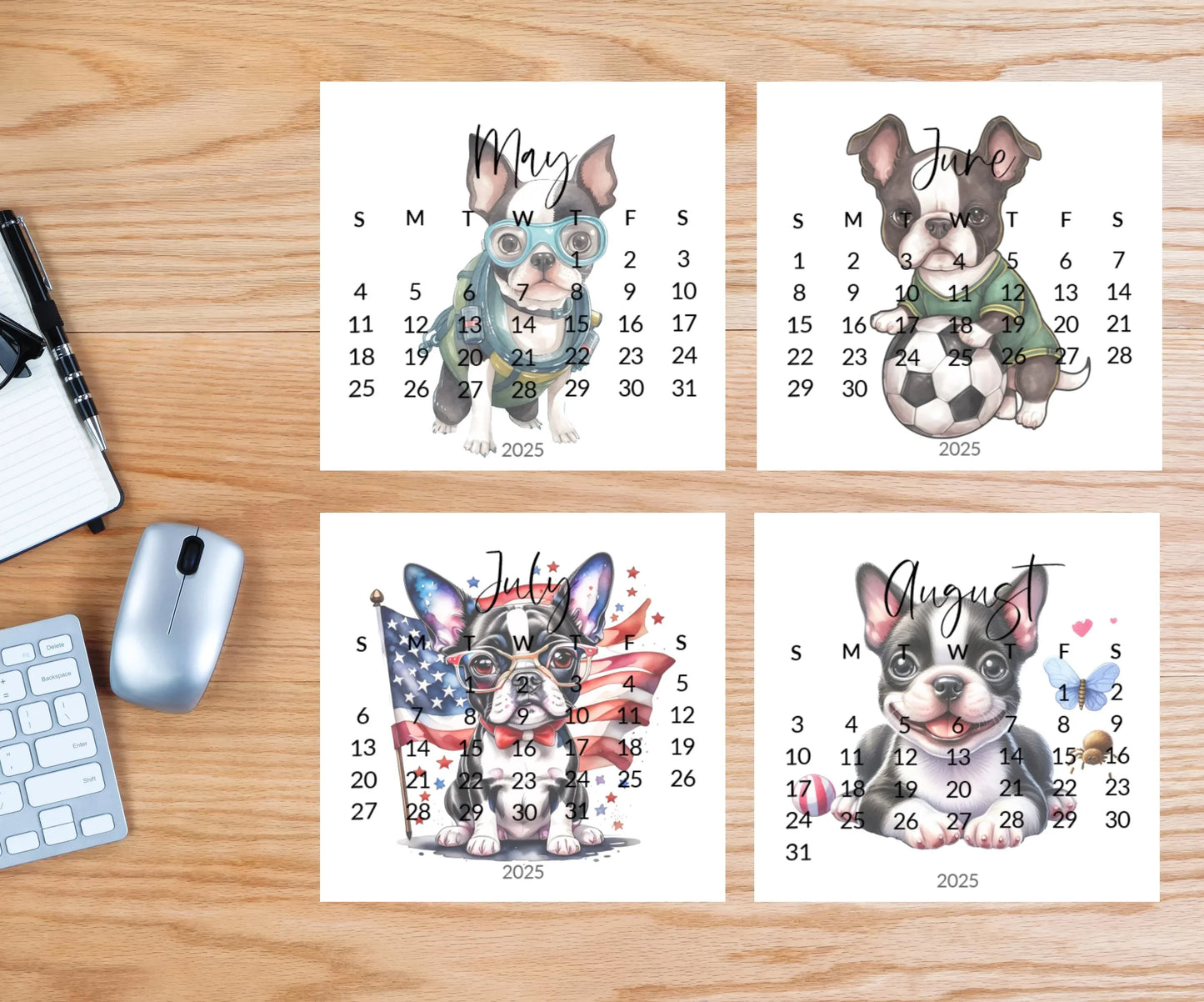 2025 Boston Terrier Mini Desk Calendar: Laminated Dog Mom Gift - The Pawprint Paperie
