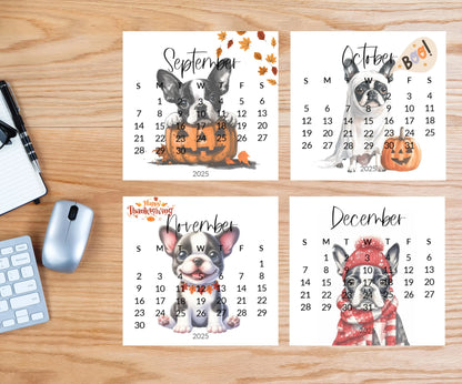 2025 Boston Terrier Mini Desk Calendar: Laminated Dog Mom Gift - The Pawprint Paperie