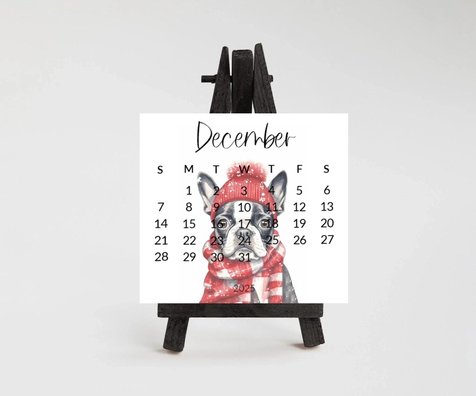 2025 Boston Terrier Mini Desk Calendar: Laminated Dog Mom Gift - The Pawprint Paperie