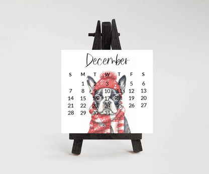 2025 Boston Terrier Mini Desk Calendar: Laminated Dog Mom Gift - The Pawprint Paperie