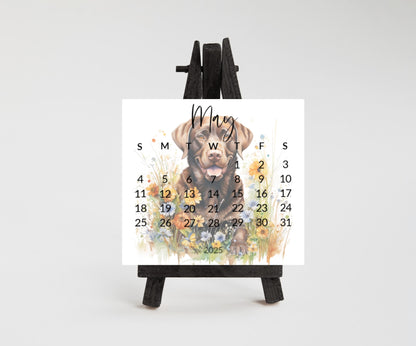 2026 Labrador Retriever small desk mini calendar - Standing desk dog calendar for desktop/tabletop - Birthday gift for the Lab mom or dad - The Pawprint Paperie