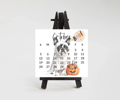 2025 Boston Terrier Mini Desk Calendar: Laminated Dog Mom Gift - The Pawprint Paperie