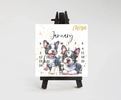 2025 Boston Terrier Mini Desk Calendar: Laminated Dog Mom Gift - The Pawprint Paperie