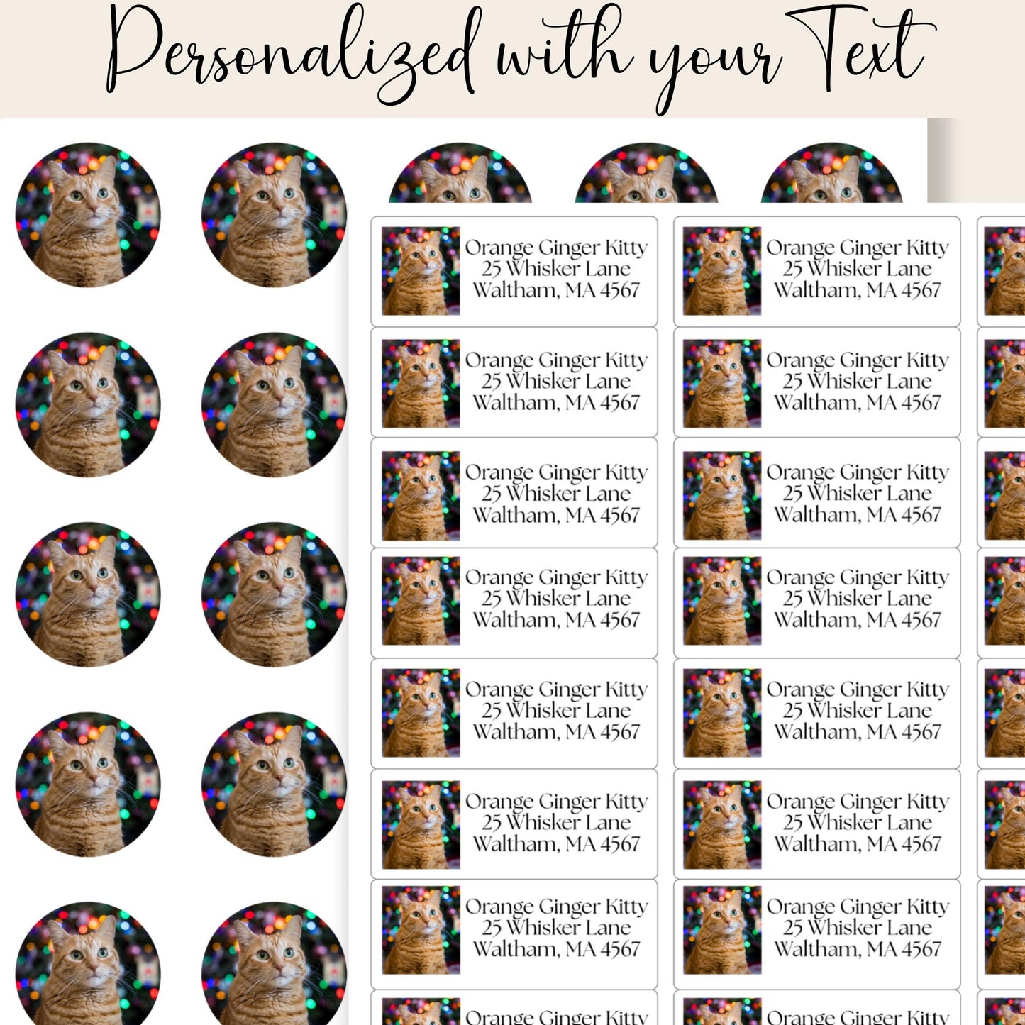 Custom Cat Photo Address Labels with FREE Stickers, Personalized Return Mailing Stickers Cat Moms, Printed Labels Gift, summer camp labels - The Pawprint Paperie