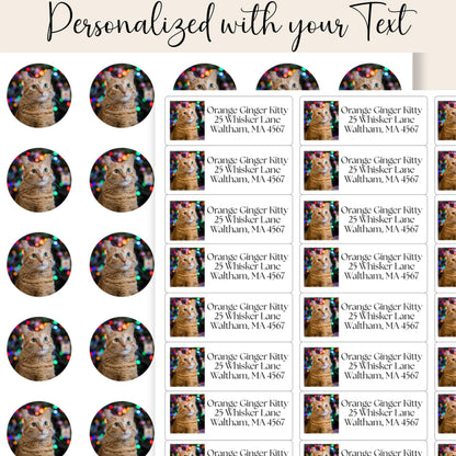 Custom Cat Photo Address Labels with FREE Stickers, Personalized Return Mailing Stickers Cat Moms, Printed Labels Gift, summer camp labels - The Pawprint Paperie