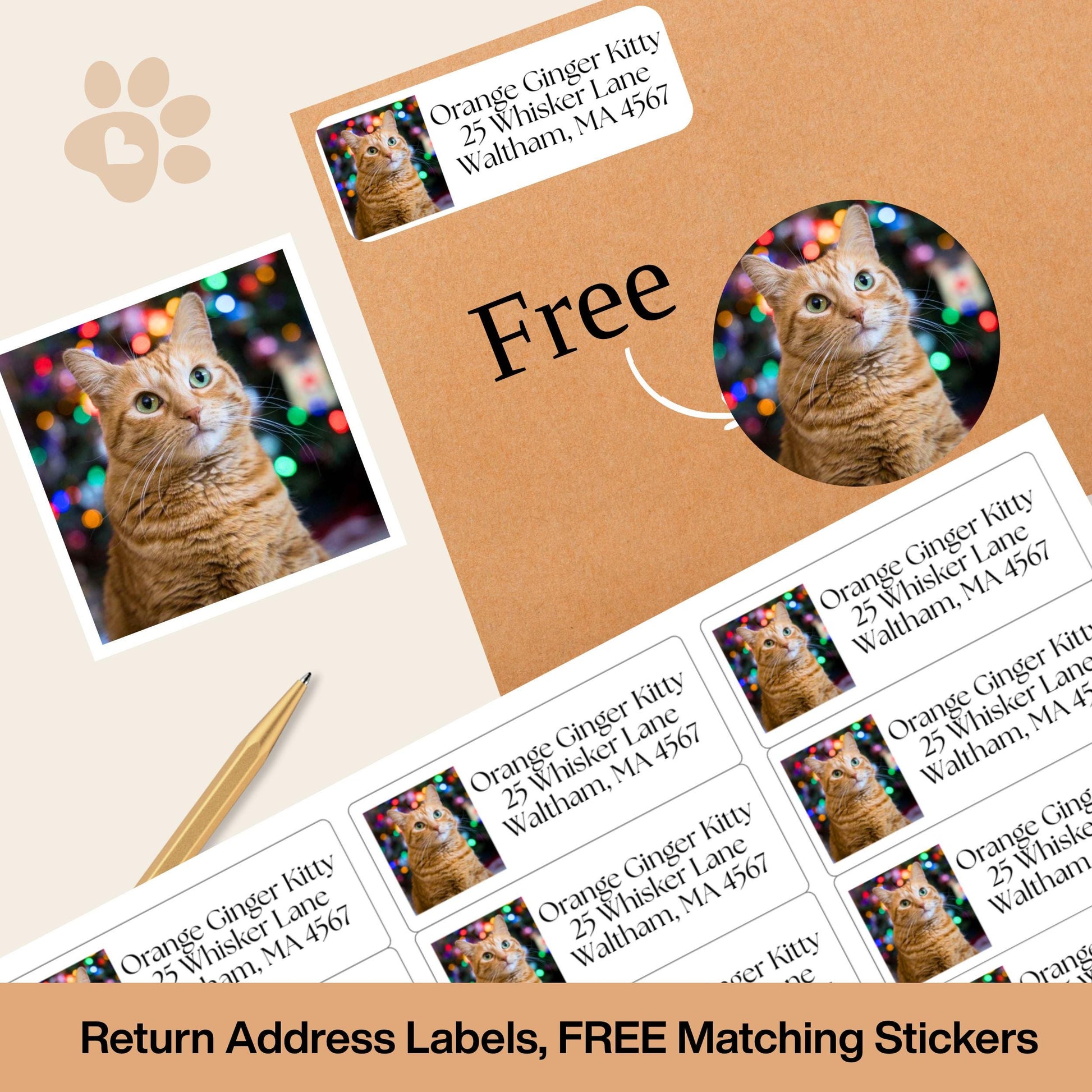 Custom Cat Photo Address Labels with FREE Stickers, Personalized Return Mailing Stickers Cat Moms, Printed Labels Gift, summer camp labels - The Pawprint Paperie