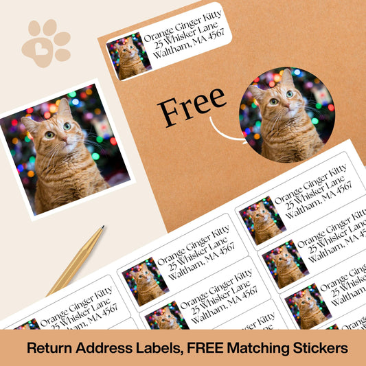 Custom Cat Photo Address Labels with FREE Stickers, Personalized Return Mailing Stickers Cat Moms, Printed Labels Gift, summer camp labels - The Pawprint Paperie