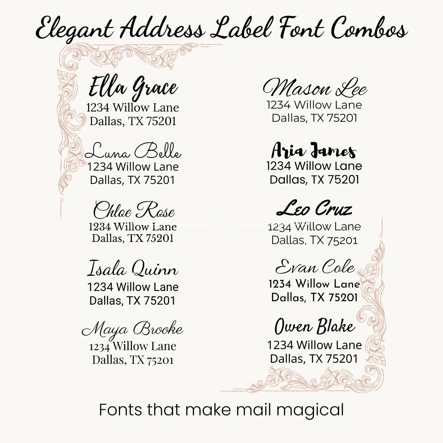 Funny Rainbow Cat Return Address Labels with FREE Envelope Seals - The Pawprint Paperie