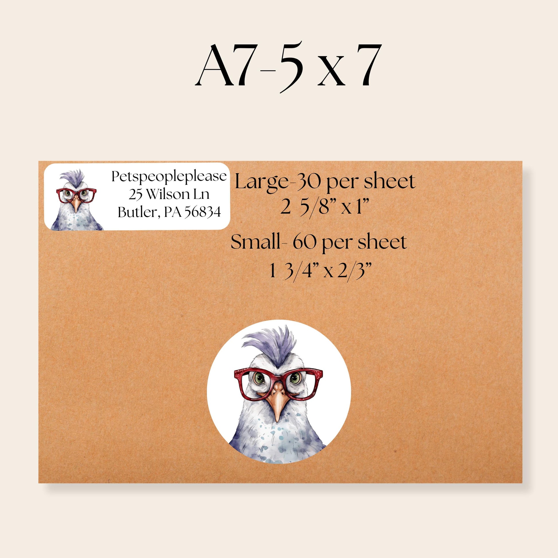 Funny Chickens With Glasses Address Labels With FREE Matching Stickers, Envelope name tags, Custom chicken lady gift, Housewarming new home - The Pawprint Paperie