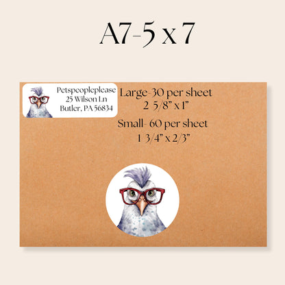 Funny Chickens With Glasses Address Labels With FREE Matching Stickers, Envelope name tags, Custom chicken lady gift, Housewarming new home - The Pawprint Paperie