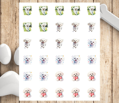 Bichon Frise Return Address Labels: Custom Dog Mom Stickers - The Pawprint Paperie