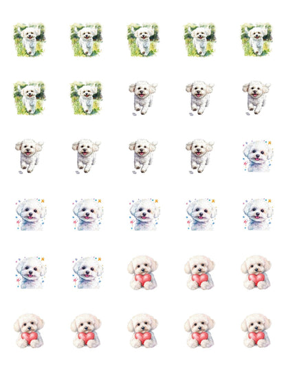 Bichon Frise Return Address Labels: Custom Dog Mom Stickers - The Pawprint Paperie