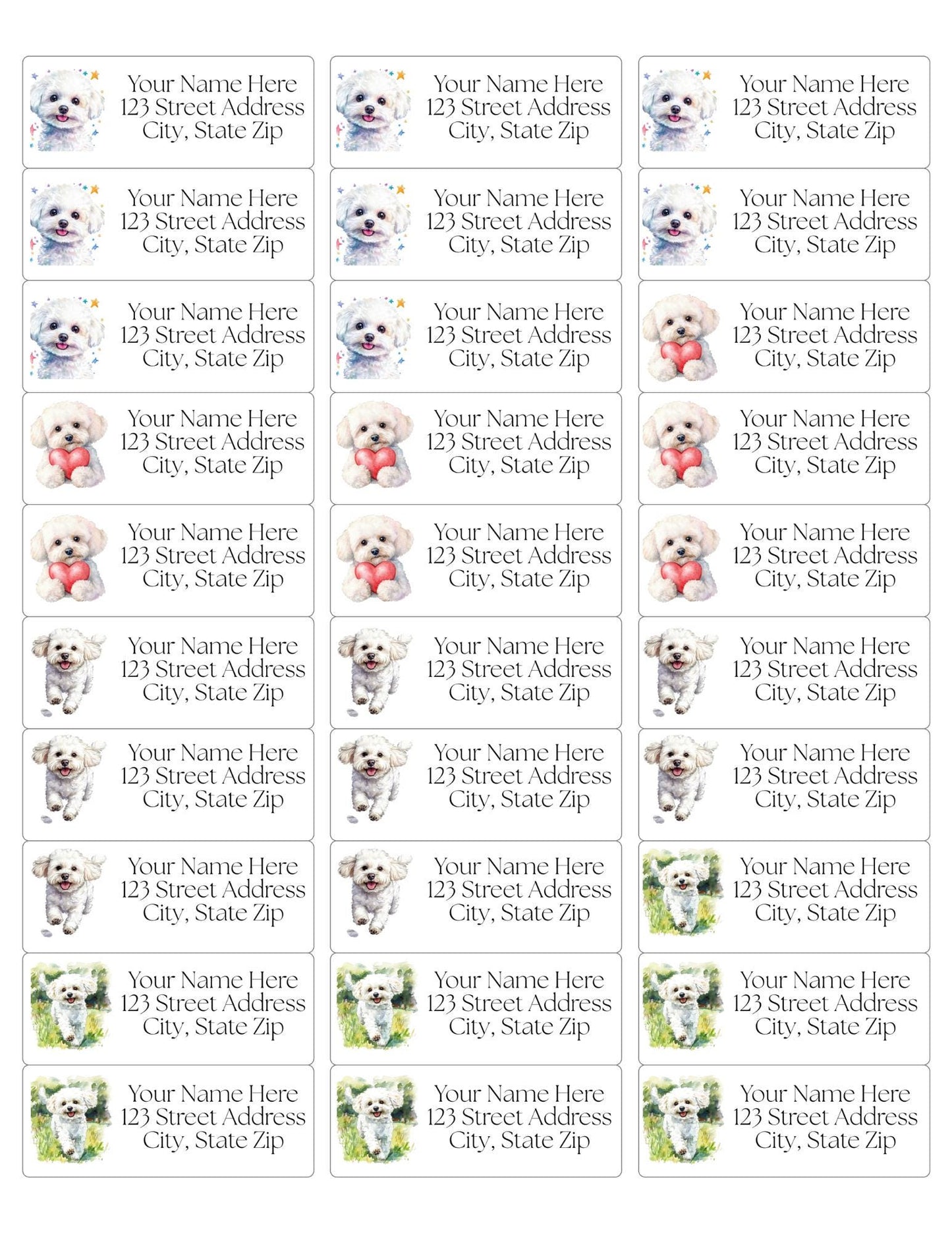 Bichon Frise Return Address Labels: Custom Dog Mom Stickers - The Pawprint Paperie