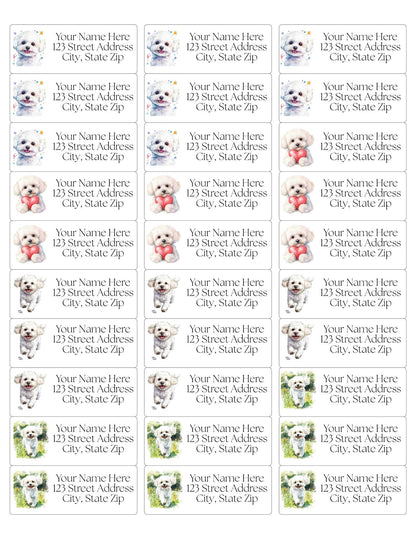 Bichon Frise Return Address Labels: Custom Dog Mom Stickers - The Pawprint Paperie
