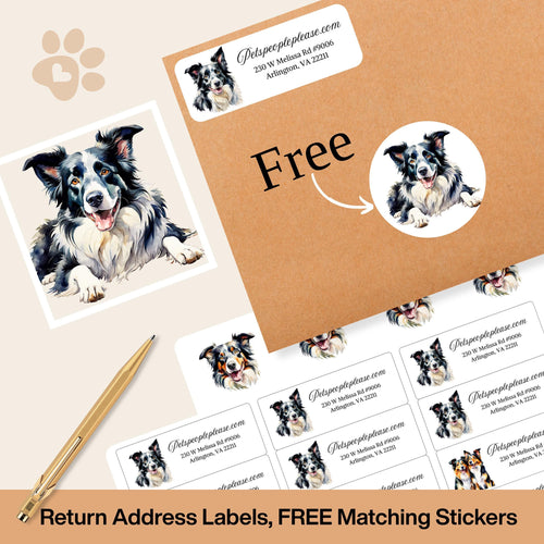 Border Collie Address Labels: Dog Mailing Stickers with FREE Envelope Seals - The Pawprint Paperie